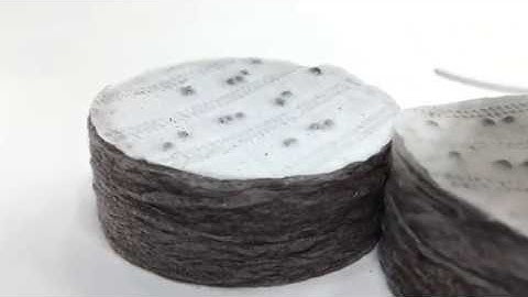 Tura Tregren - SeedPods