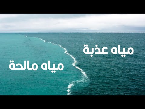 فيديو: مياه عذبة