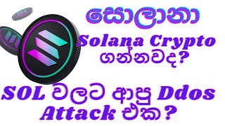 Solana සොලානා Crypto ගන්නවද? SOL වලට ආපු Ddos Attack එක?