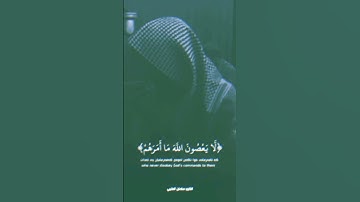 القارئ سلمان العتيبي # قرأن كريم