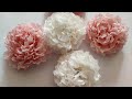 Crepe Paper Flowers Tutorial🤗