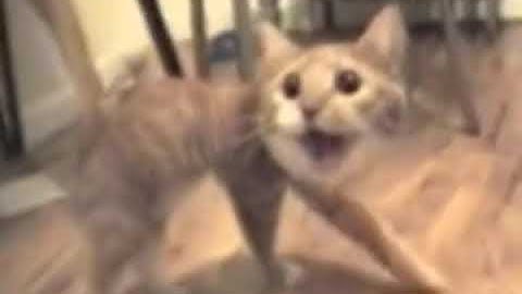 Shortest Video on YouTube In Content Aware Scale