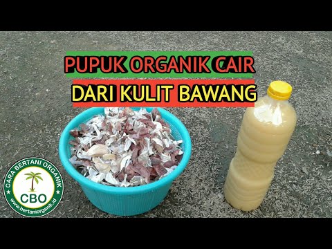 Video: Cara Menggunakan Kulit Bawang