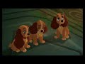 Lady and the tramp scamps adventure full movie polish version dvd