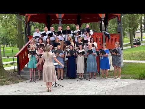 Karl Jenkins -