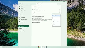 How to change the color of your Mouse Cursor on a Chromebook