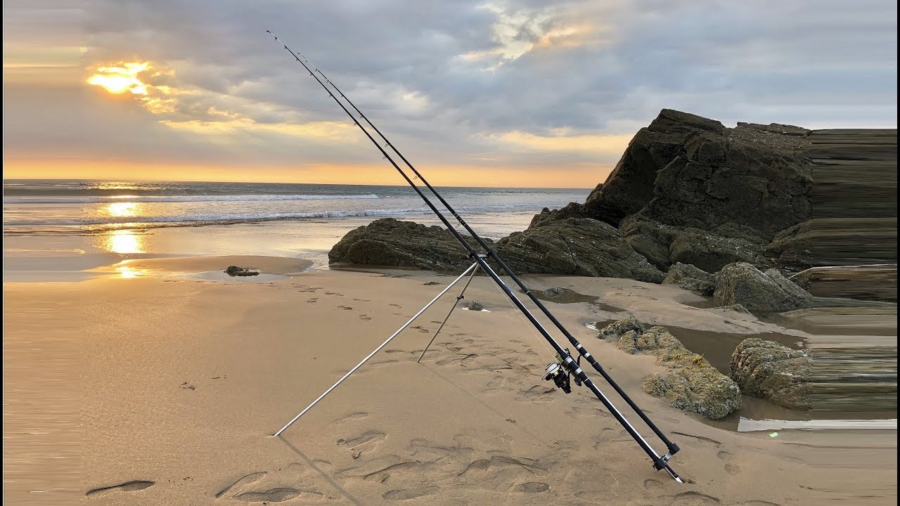 Shore Fishing UK - Beach Fishing Cornwall - Smooth Hounds, Rays and more