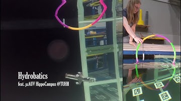 Hydrobatic Hoop Jump with Underwater Robot HippoCampus