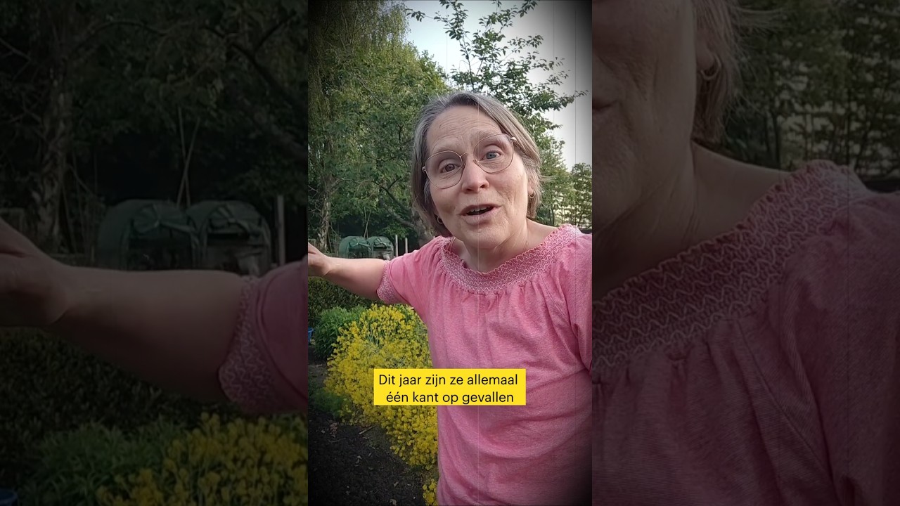 HOE IK MIJN TUIN VOL GELE BLOEMEN KREEG!