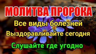 МОЛИТВА ПОСЛУЖАННОГО АЛЛАХА❗️СЕГОДНЯ ИЗЛЕЧИВАЮТСЯ ВСЕ ВИДЫ БОЛЕЗНЕЙ