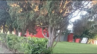 UNA SEMANA PARA EL RETO VS MARIOBRAWZ Y TIENDAS DE POLVOS AZULES⚽