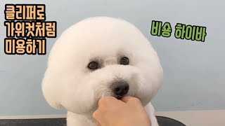 [도그미] 비숑 클리퍼로 가위컷 느낌나게 미용하기 , Dog Grooming