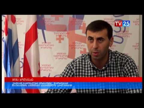 ხელვაჩაურის გამგებელს კანონდარღვევაში ადანაშაულებენ