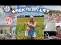 spend the week with me vlog (flower field, my bday, working)