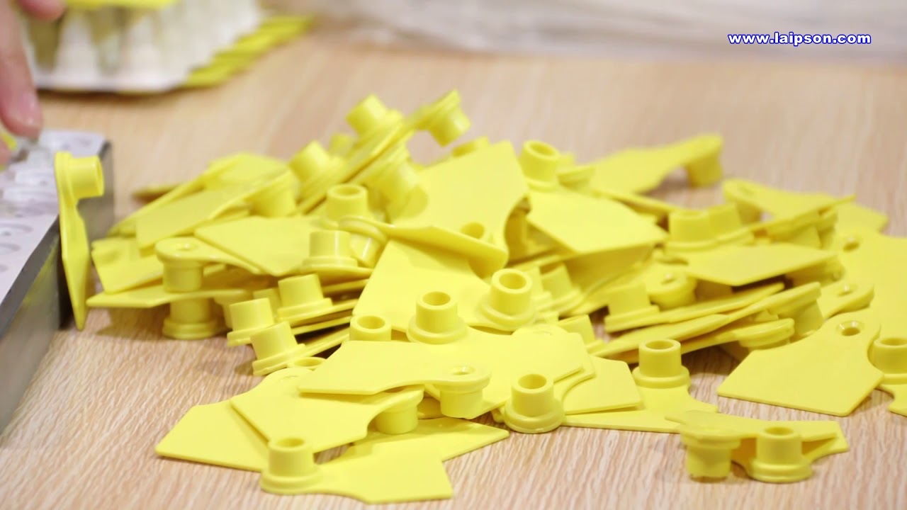 Laipson ear tag  production video