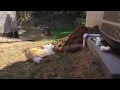 French Drain Install - 8/29/15