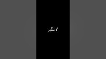 #كذبت_قوم_لوط_المرسلين #ياسر_الدوسري #سورة_الشعراء