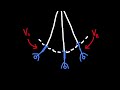 Option D - Acceleration of a Bungy Jump