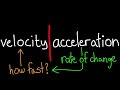 Option D - Acceleration of a Bungy Jump