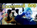 Сосновый бор, Андерсенград . Ленинградская область ( часть 1 ) влог, осторожно маты! 18+