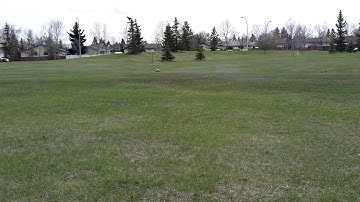 slayer pro picco .26 reddot in park