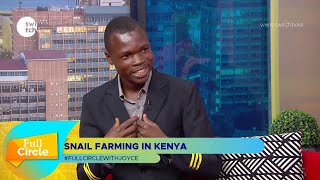 Kenyan entrepreneur ventures into snail farming
