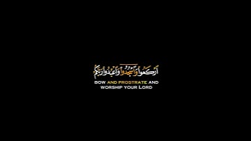 قرآن كريم #يأيها الذين امنو اركعواوواسجدو وعبدو ربك#صوت عبد الرحمن مسعد #سوره الحج الايه ٧٧