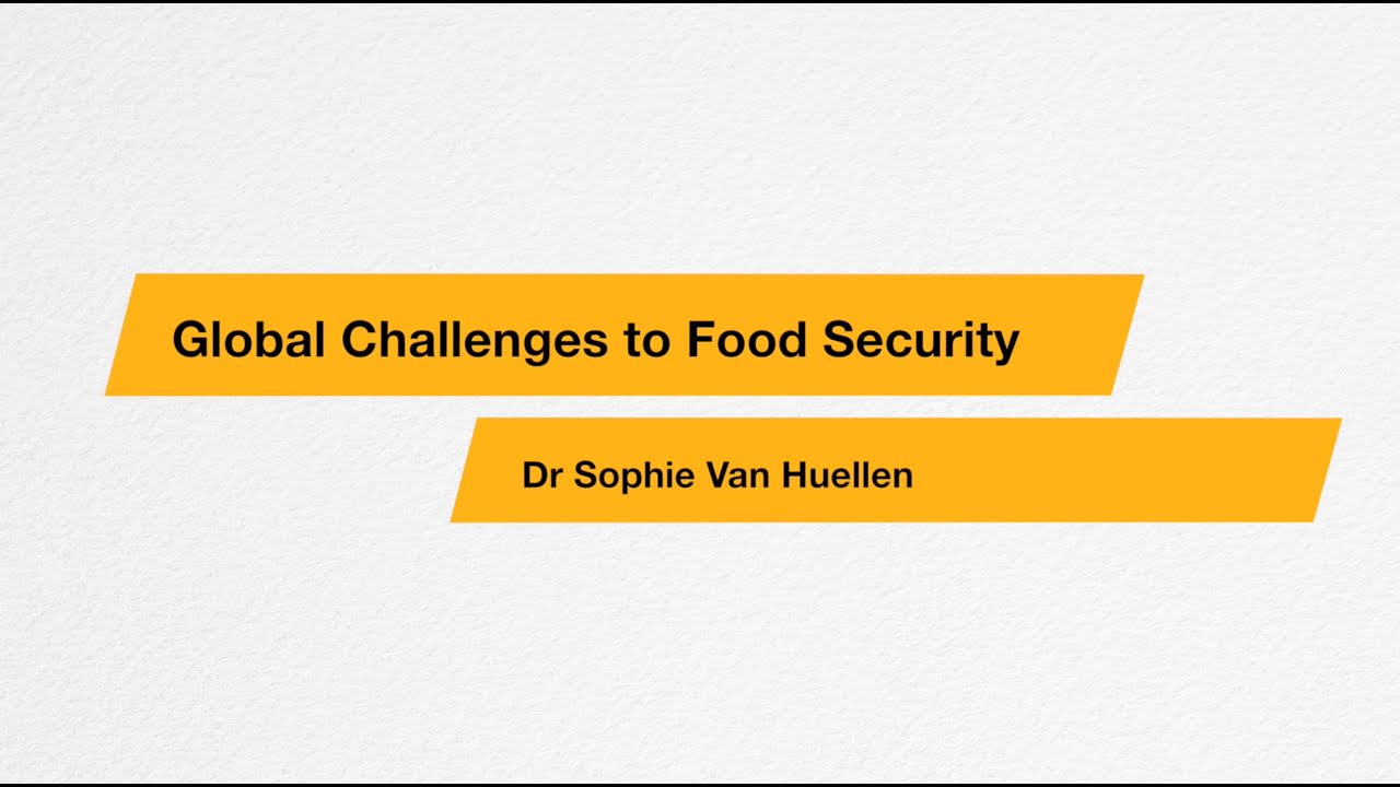 Global Challenges to Food Security Summer School | SOAS University of London