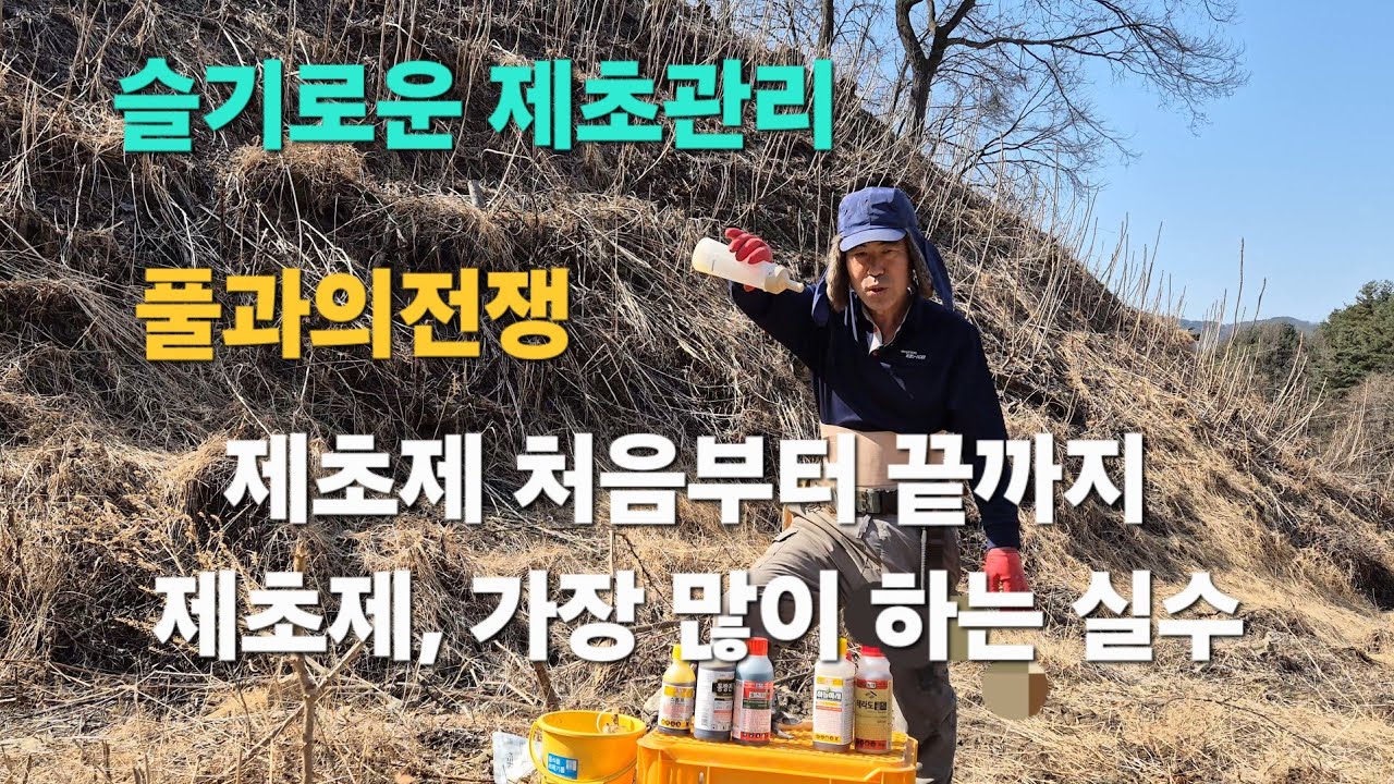 제초제 초보가 절대 하면 안 되는 실수 제초제 잘못 쓰면 묘목 다 죽습니다 