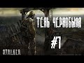 Начало прохождения S.T.A.L.K.E,R. Тень Чернобыля