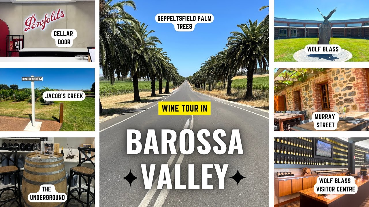 Дегустационный тур по долине Баросса | Скрытые жемчужины и лучшие винодельни | Пенфолдс | Вольф Б...