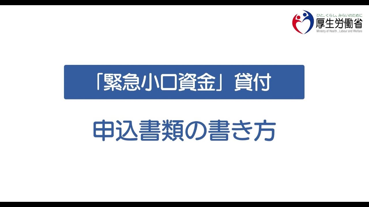 制度 貸付 小口 資金