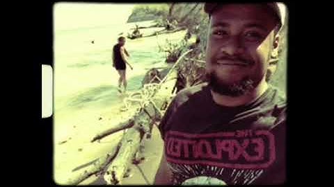 Calvert Cliffs State Park