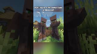 POV: You're a TNT Sulfur Cube in Minecraft