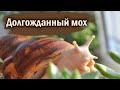 РАСПАКОВКА ПОСЫЛКИ ИЗ СИМА-ЛЕНДА | ГЕНЕРАЛЬНАЯ УБОРКА