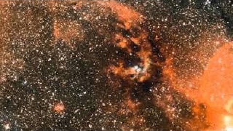 I dare you to ask the universe.. | Jim Carrey