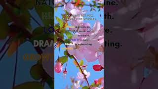 Life Wisdom Quotes , Piano Music &amp; Beautiful Flowers | Peaceful Reflection Calming Piano Ambience!