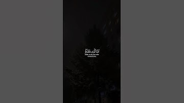 اللَّهُ الَّذي خَلَقَكُم ثُمَّ رَزَقَكُم ثُمَّ يُميتُكُم ثُمَّ يُحييكُم | سورة الروم | ياسر الدوسري