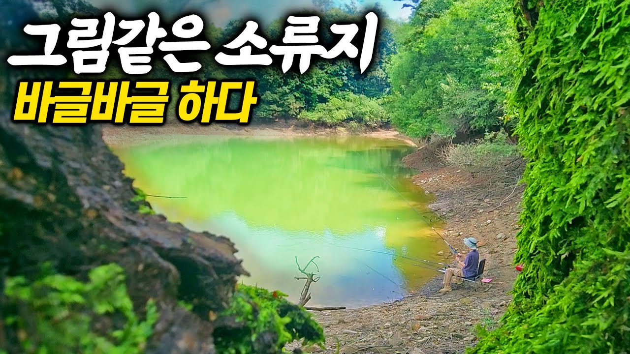 바글바글거리는 산속소류지 이제 시작인가? 끝없이 나온다