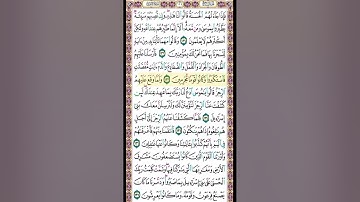 صفحة 166 من القرآن الكريم بصوت القارئ الشيخ ميثم التمار