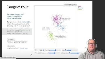 langevitour for exploring high-dimensional data