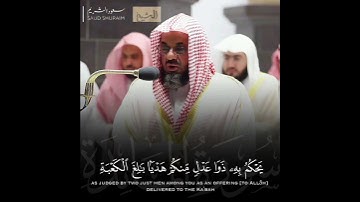 تلاوة خاشعة تأخدك لعالم آخر للشيخ سعود الشريم من سورة المائدة 🌿🎧😴 #سعود_الشريم #سعودالشريم