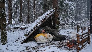 2 Days Surviving a Brutal Blizzard with My Dog | Hot Tent Winter Camping