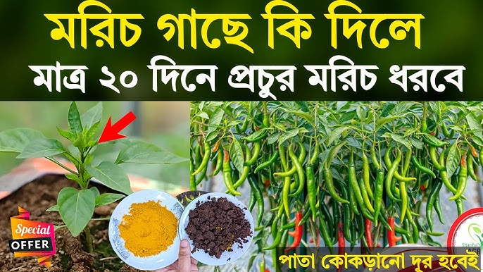 Busty gozallik bilan onlayn porno