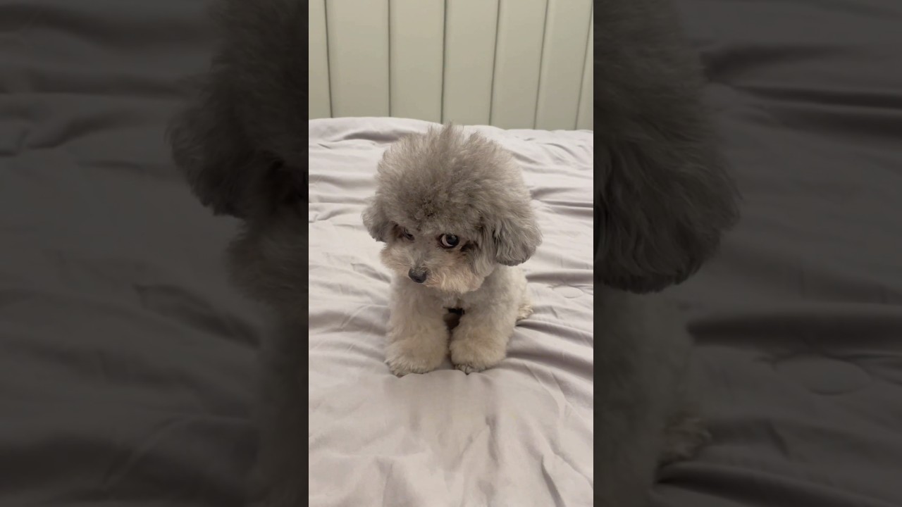 I wonder where she learnt it from 😂❤️