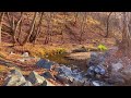 Peaceful river sounds in autumn forest ambience, Nature noise for studying, focus.