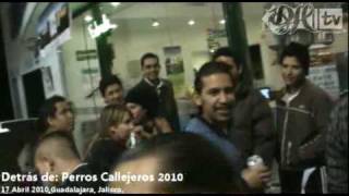Detrás de: Perros Callejeros (1 de 3)