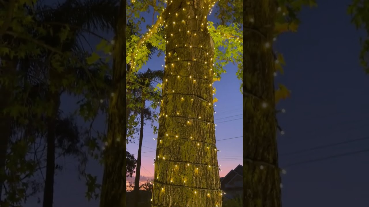 Heavy Duty Fairy Lights by Lytworx