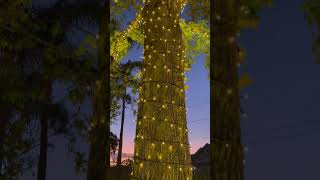 Heavy Duty Fairy Lights by Lytworx