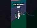UN CLASSICO RABBIT USER SU ROBLOX BLOX FRUIT 😂 #shorts